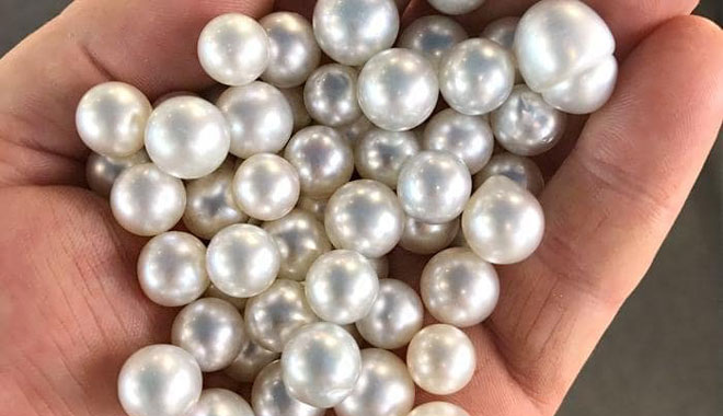 DAMPIER PENINSULA 4WD COACH FULL DAY TOUR 3 