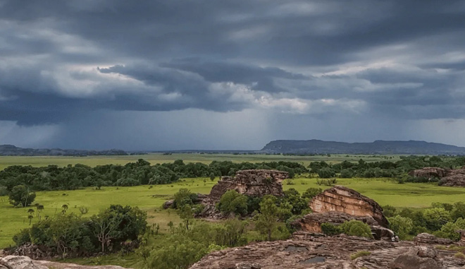 DARWIN TO KAKADU & Wet Land Day Trip 509