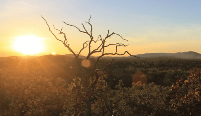 DARWIN TO KAKADU & Wet Land Day Trip 5526
