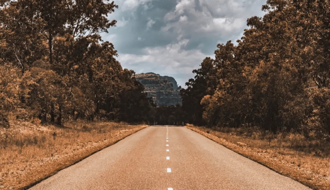 DARWIN TO KAKADU & Wet Land Day Trip 555