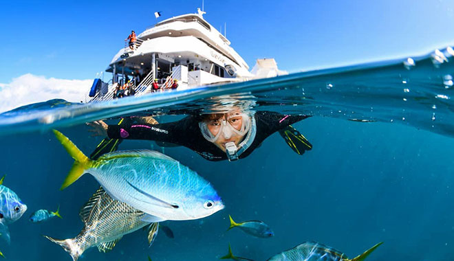 DC Evolution Reef Vessel 18