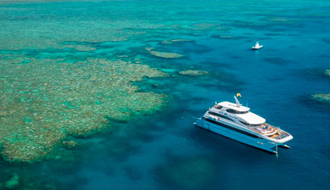 DC Evolution Reef Vessel 2