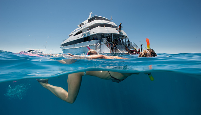 DC Evolution Reef Vessel 3