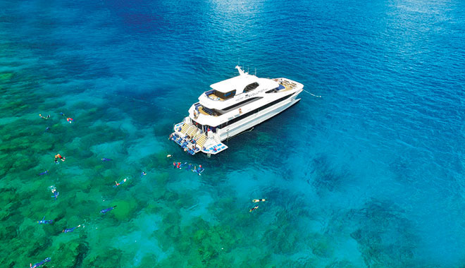 DC Evolution Reef Vessel 38