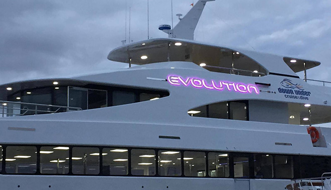 DC Evolution Reef Vessel 4