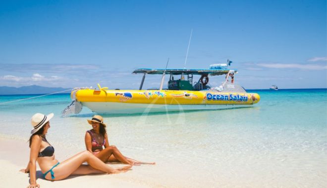 Daintree Delight Tour (3)