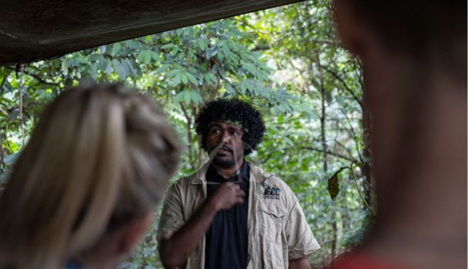 Daintree Delight Tour (4)