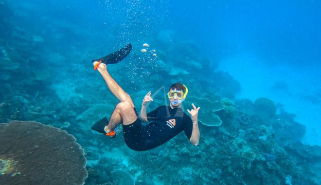 Daintree Delight Tour (6)