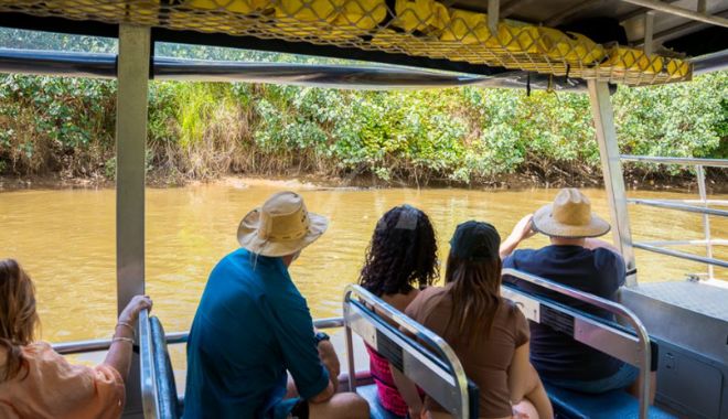 Daintree Delight Tour (7)