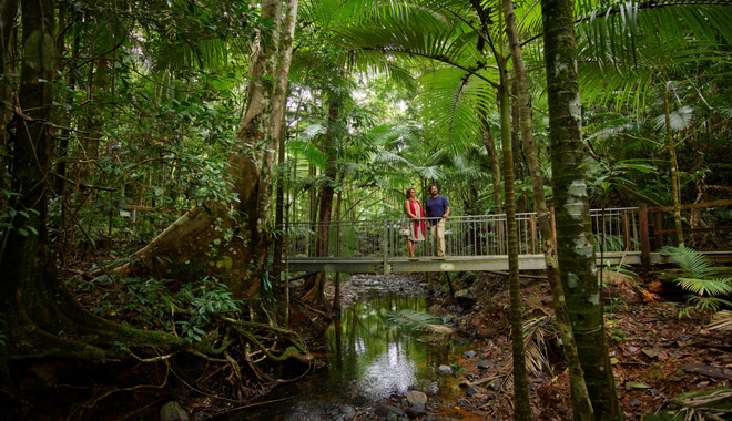 Daintree Discovery Centre.