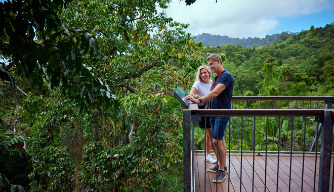 Daintree Discovery Centre1