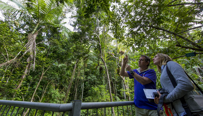 Daintree Discovery Centre2