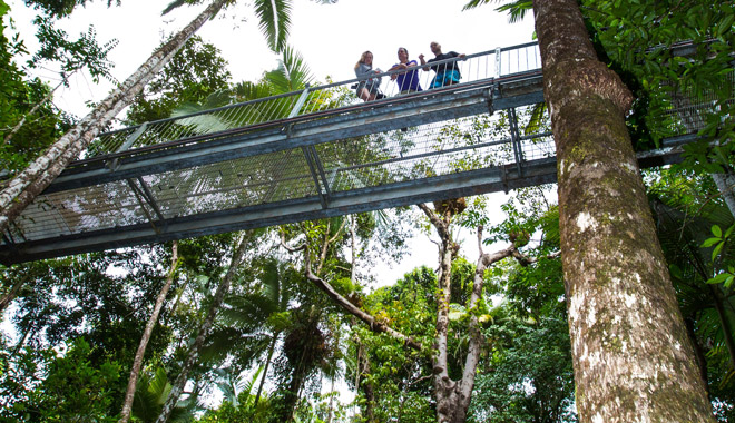 Daintree Discovery Centre2
