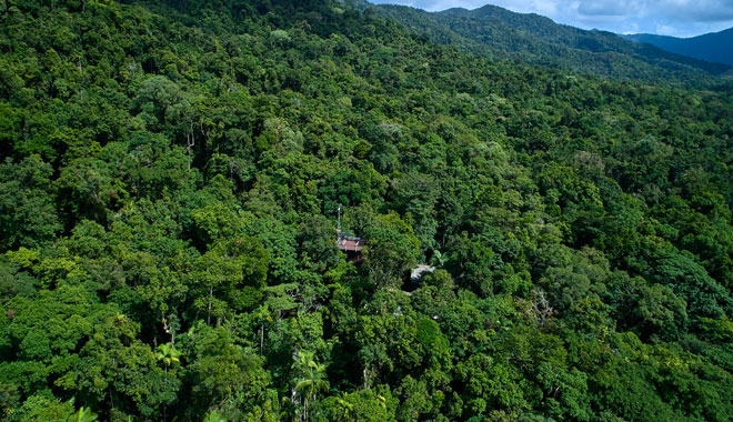 Daintree Discovery Centre3