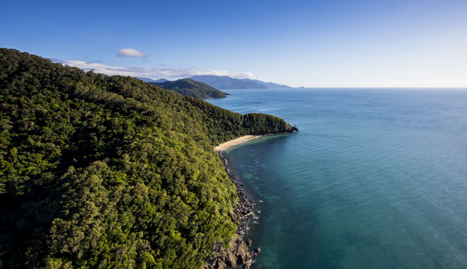Daintree Discovery Centre4