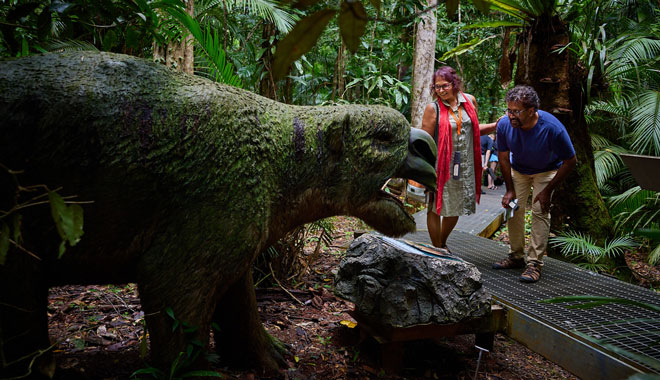 Daintree Discovery Centre5