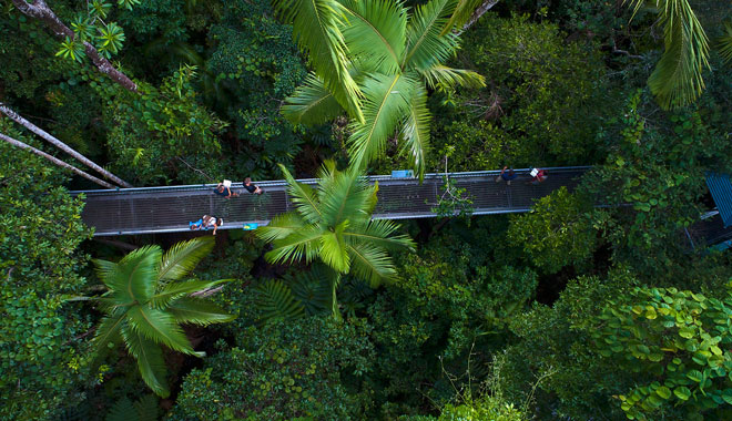 Daintree Discovery Centre7