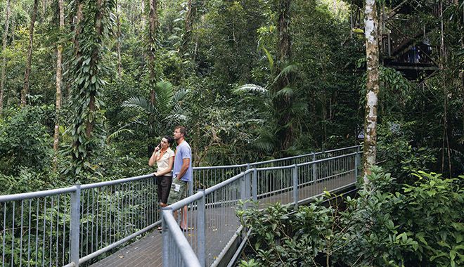 Daintree Marrdja Boardwalk