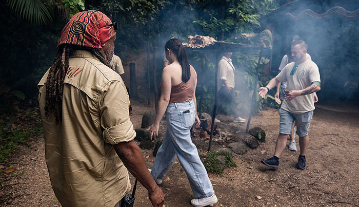 Daintree Rainforest Tours WEB 01