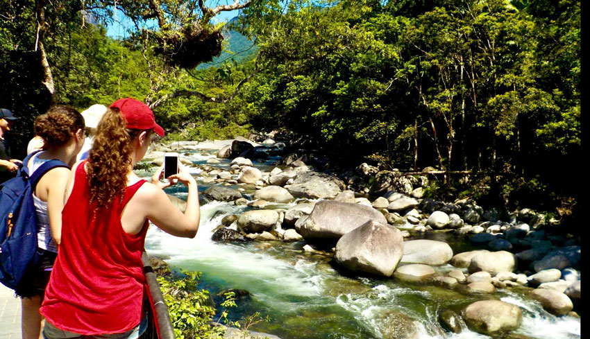 Daintree Rainforest Tours WEB 12