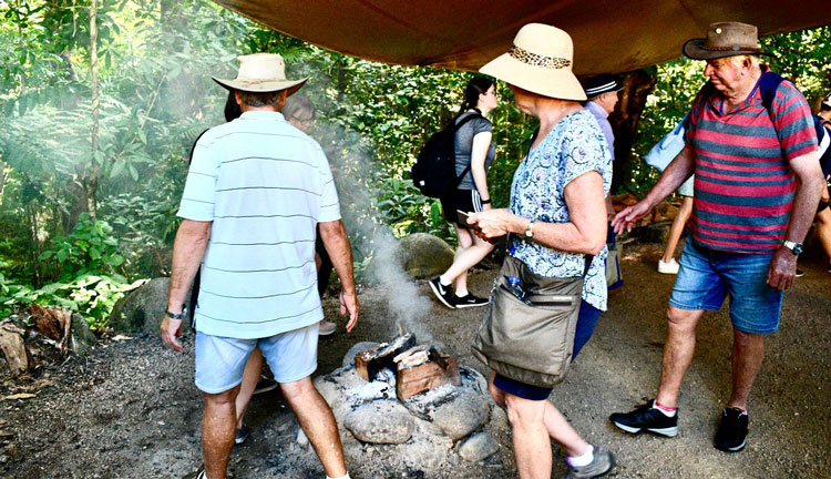 Daintree Rainforest Tours WEB 15