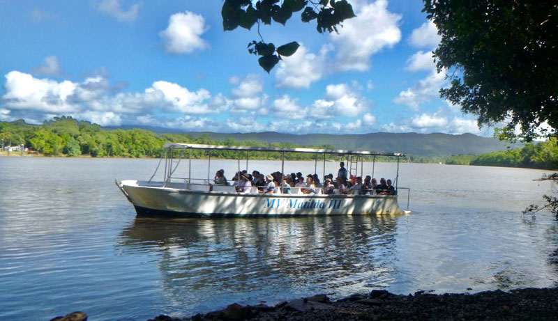 Daintree Rainforest Tours WEB 17