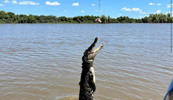 Darwin Jumping Croc Cruise Tour4