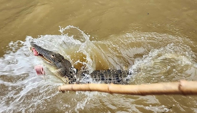 Darwin Jumping Croc Cruise Tour6
