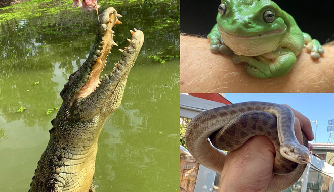 Darwin Territory Wildlife Park1