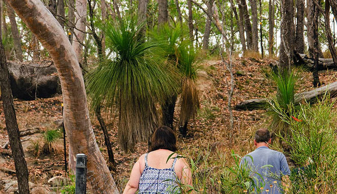 Discovery Tours Australia kuranda 005