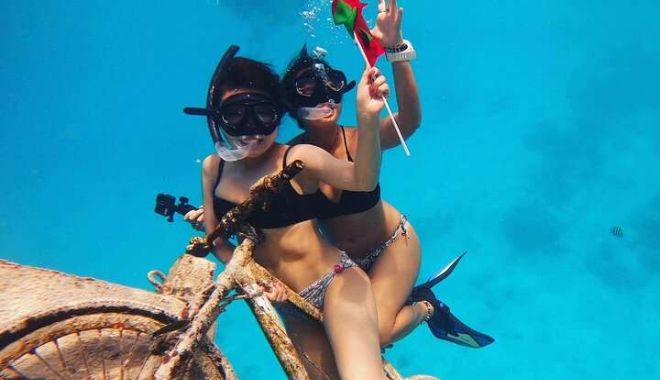 Dive the Whitsundays   Half Day Cert Dive (5)