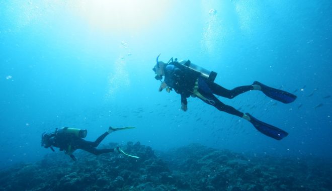 Dive the Whitsundays   Half Day Cert Dive (6)