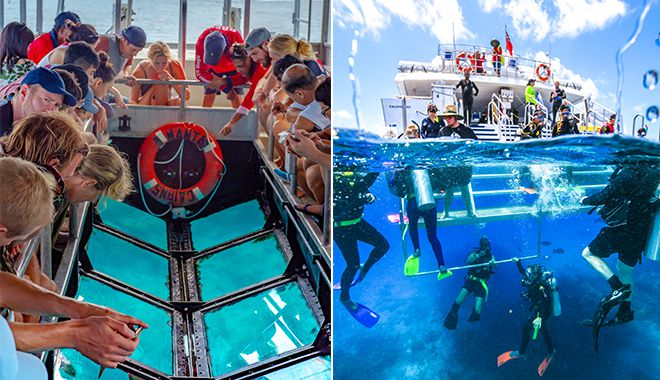 Dreamtime Dive Cruise 1