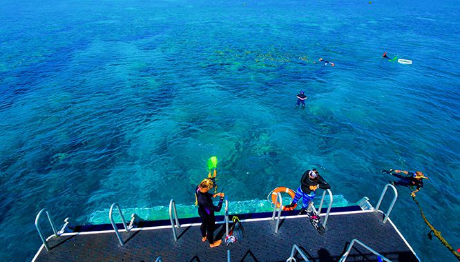 Dreamtime Dive Cruise 10