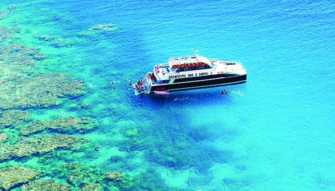 Dreamtime Dive Cruise 11