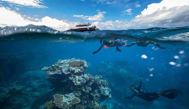 Dreamtime Dive Cruise 12