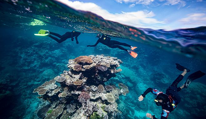 Dreamtime Dive Cruise 13