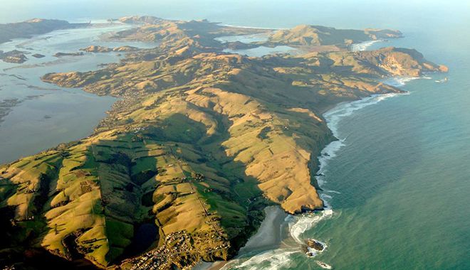 Dunedin Royal Albatross Centre 11