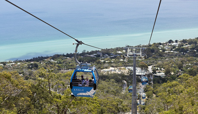 Eagle Gondola Mornington Peninsula.   low res lg