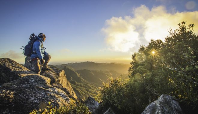 Explore Coromandel (6)