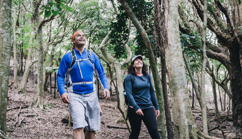 Explore Coromandel Peninsula web 201