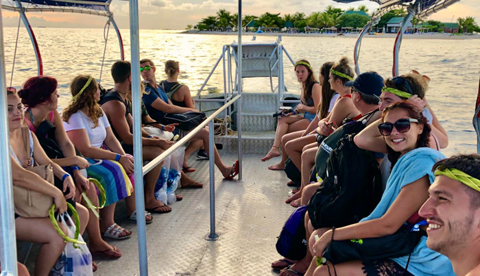 FIJI AF Short Shark Gallery 1 scaled