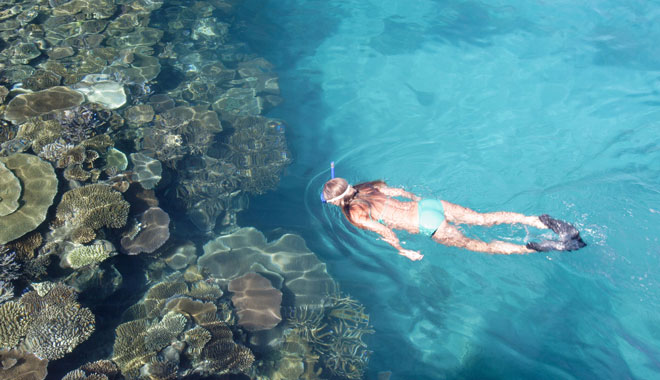 FIJI snorkelling  002