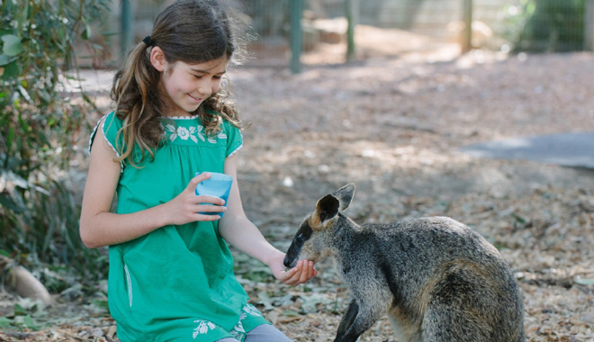 Featherdale Sydney Wildlife Park Ticket web 001