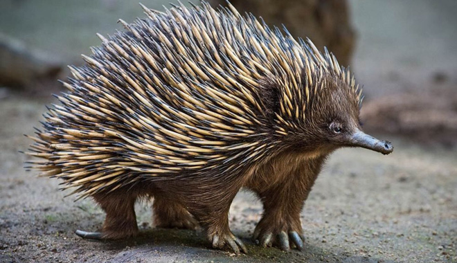 WEB TERTIARY (1440 x 960 px)   218