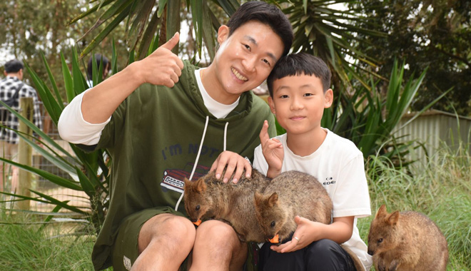 WEB TERTIARY (1440 x 960 px)   230