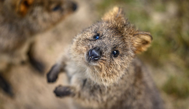 WEB TERTIARY (1440 x 960 px)   228