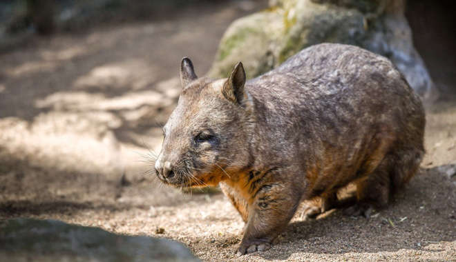 WEB TERTIARY (1440 x 960 px)   219