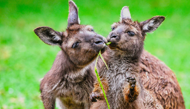 WEB TERTIARY (1440 x 960 px)   227