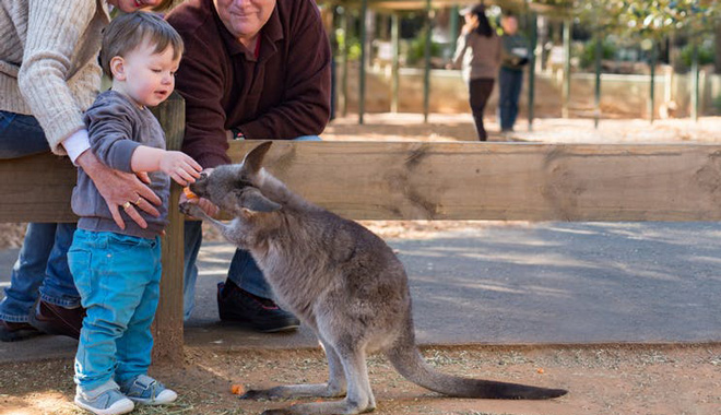 Featherdale Wildlife Park 016